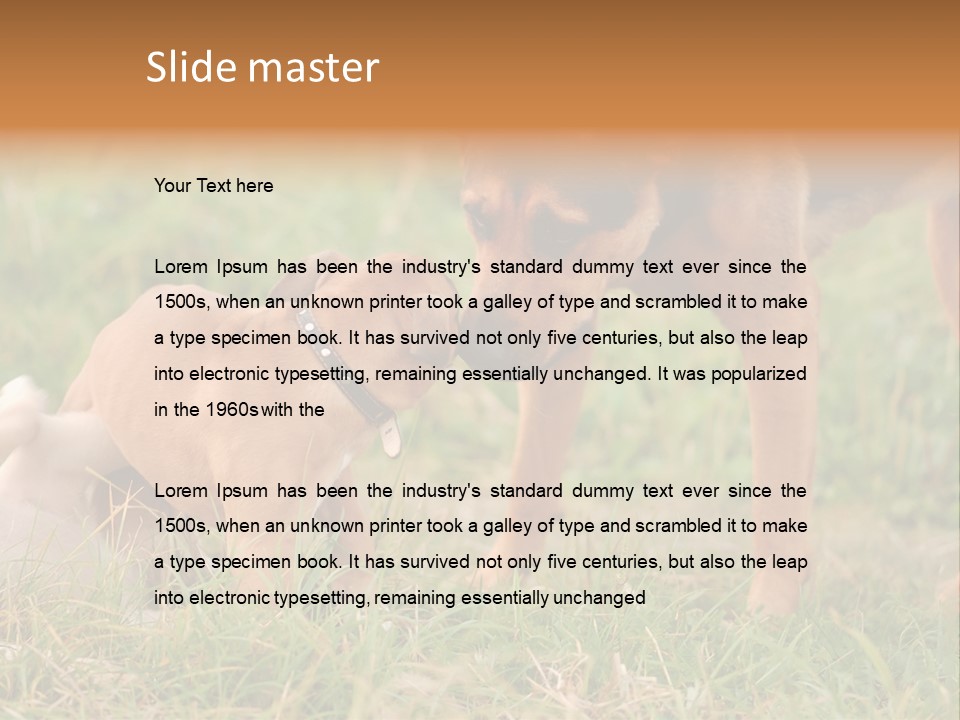 A Couple Of Dogs That Are Standing In The Grass PowerPoint Template