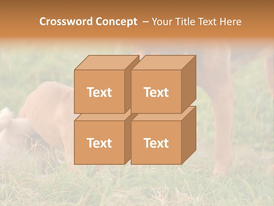 A Couple Of Dogs That Are Standing In The Grass PowerPoint Template