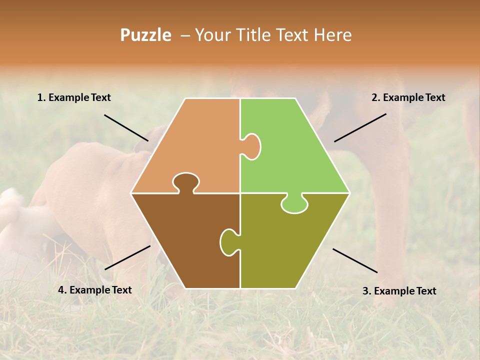 A Couple Of Dogs That Are Standing In The Grass PowerPoint Template