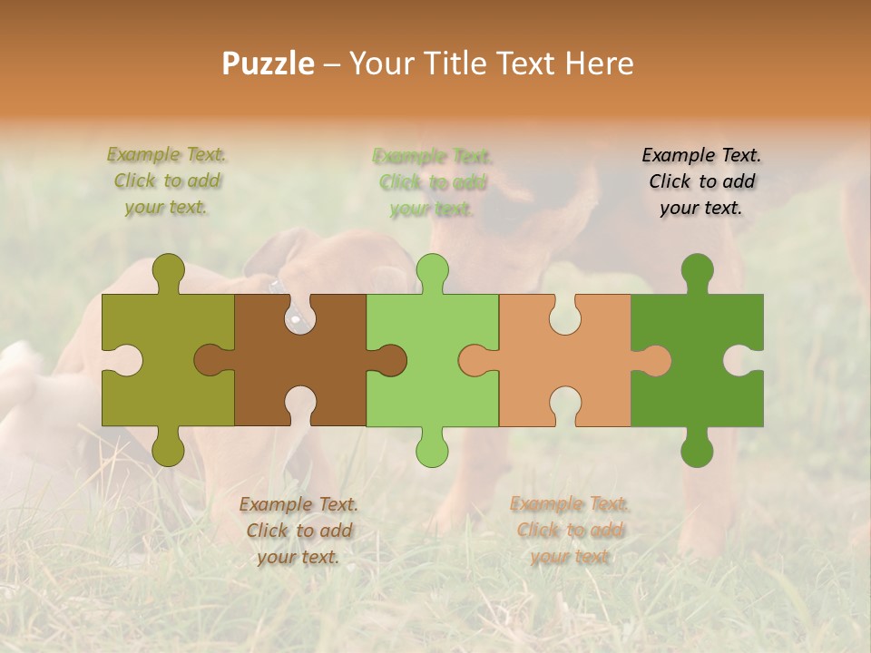 A Couple Of Dogs That Are Standing In The Grass PowerPoint Template