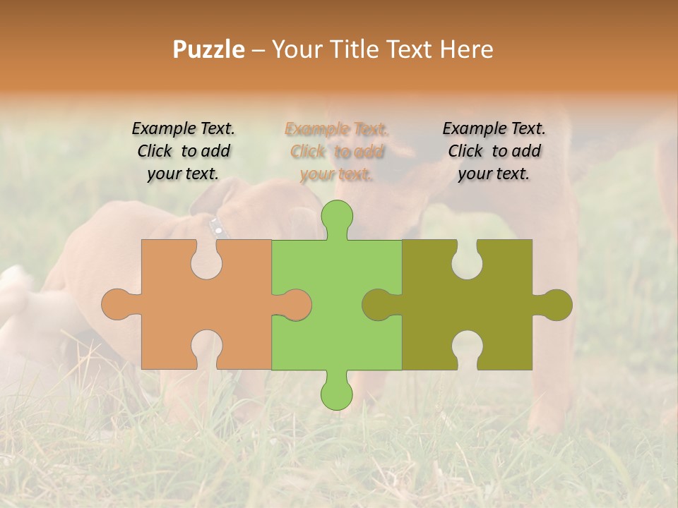 A Couple Of Dogs That Are Standing In The Grass PowerPoint Template