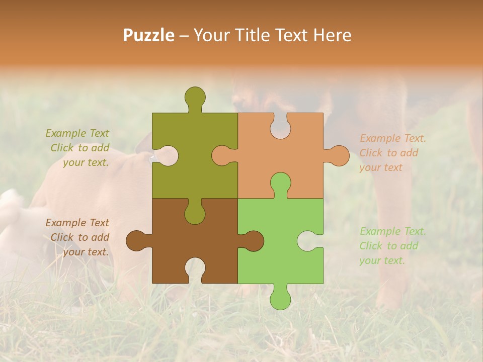 A Couple Of Dogs That Are Standing In The Grass PowerPoint Template