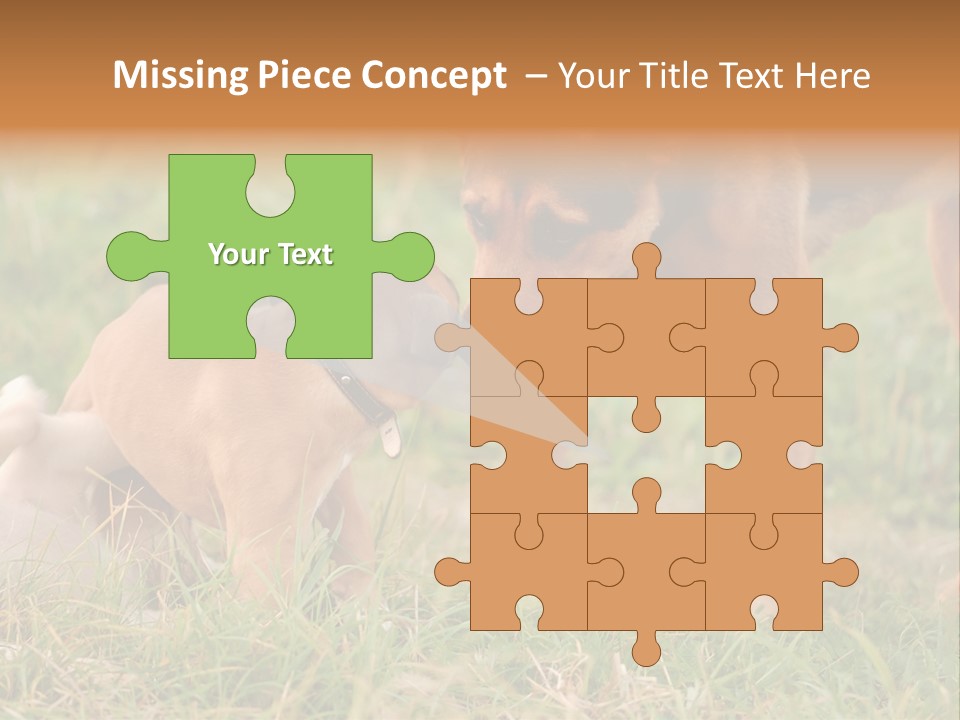 A Couple Of Dogs That Are Standing In The Grass PowerPoint Template
