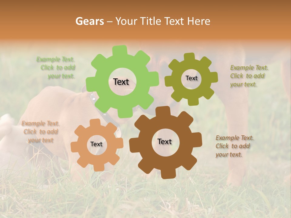 A Couple Of Dogs That Are Standing In The Grass PowerPoint Template