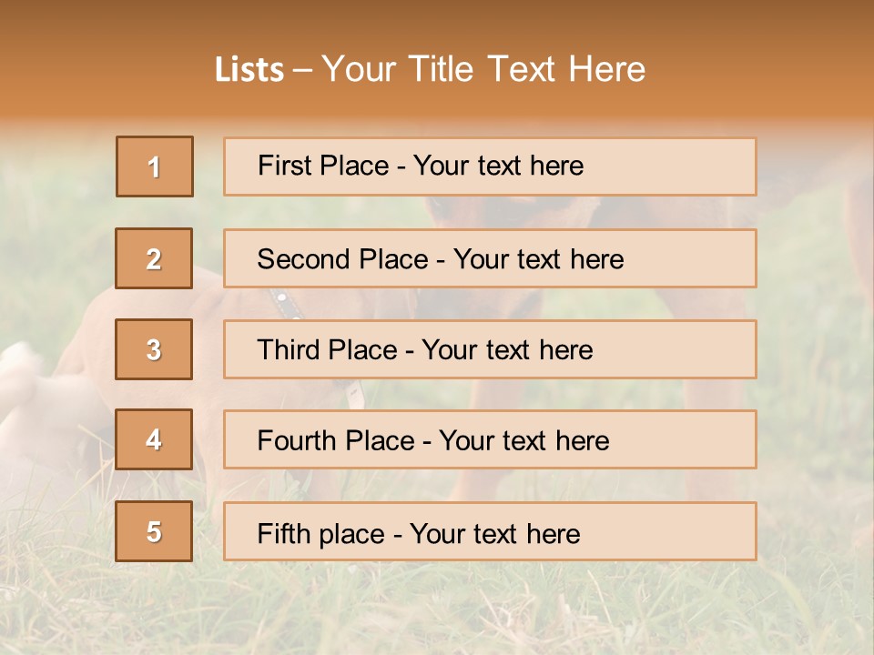 A Couple Of Dogs That Are Standing In The Grass PowerPoint Template