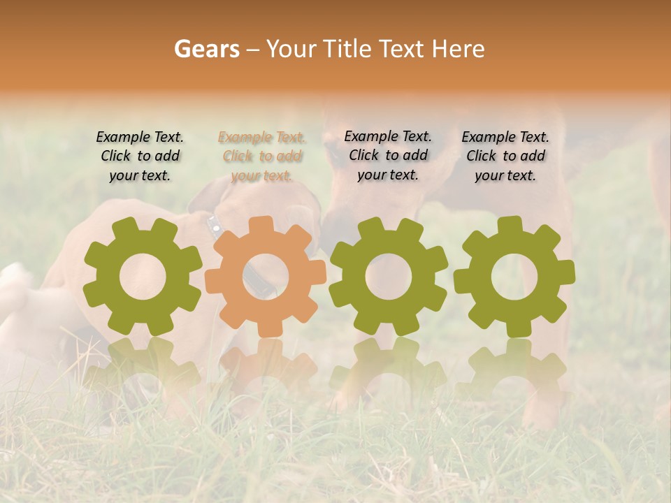 A Couple Of Dogs That Are Standing In The Grass PowerPoint Template