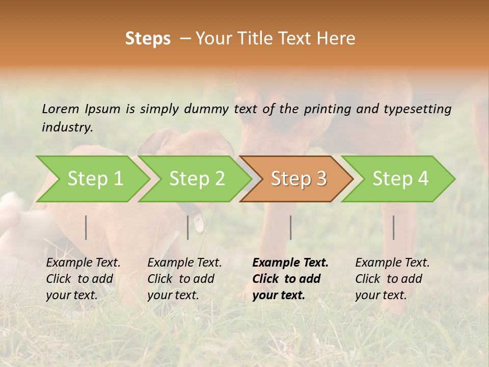 A Couple Of Dogs That Are Standing In The Grass PowerPoint Template