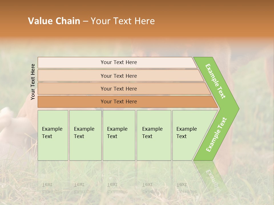 A Couple Of Dogs That Are Standing In The Grass PowerPoint Template