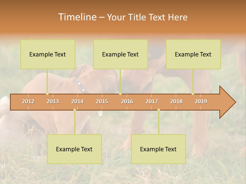 A Couple Of Dogs That Are Standing In The Grass PowerPoint Template