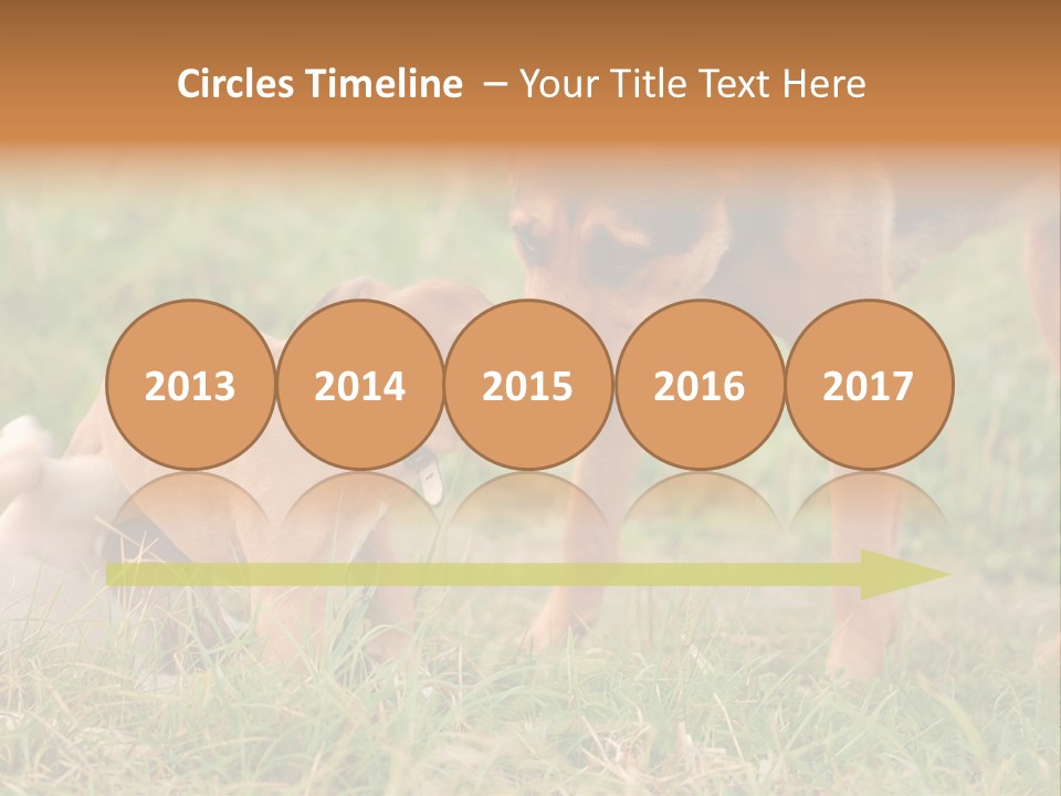 A Couple Of Dogs That Are Standing In The Grass PowerPoint Template