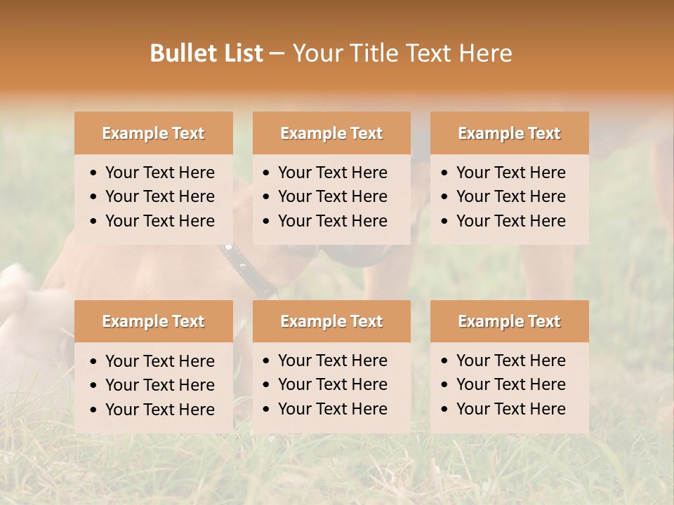 A Couple Of Dogs That Are Standing In The Grass PowerPoint Template