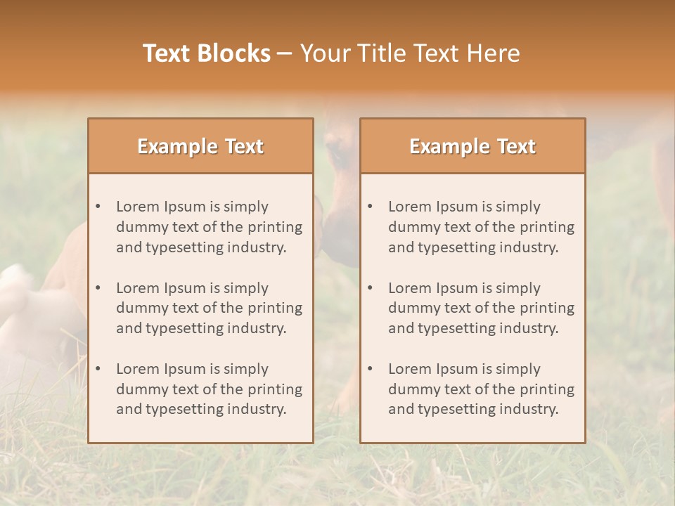 A Couple Of Dogs That Are Standing In The Grass PowerPoint Template