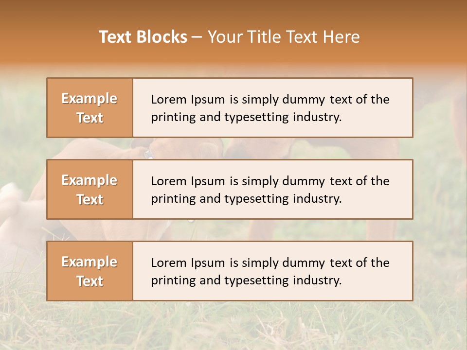A Couple Of Dogs That Are Standing In The Grass PowerPoint Template