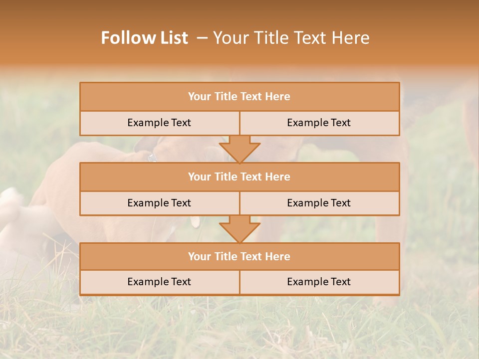 A Couple Of Dogs That Are Standing In The Grass PowerPoint Template