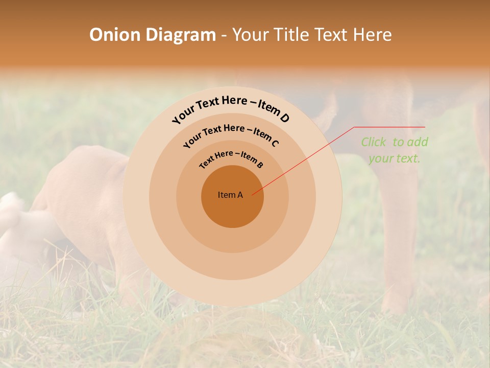 A Couple Of Dogs That Are Standing In The Grass PowerPoint Template