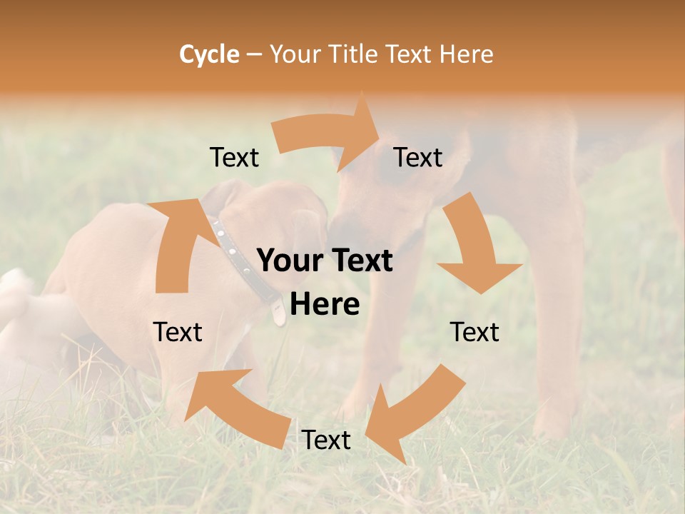 A Couple Of Dogs That Are Standing In The Grass PowerPoint Template