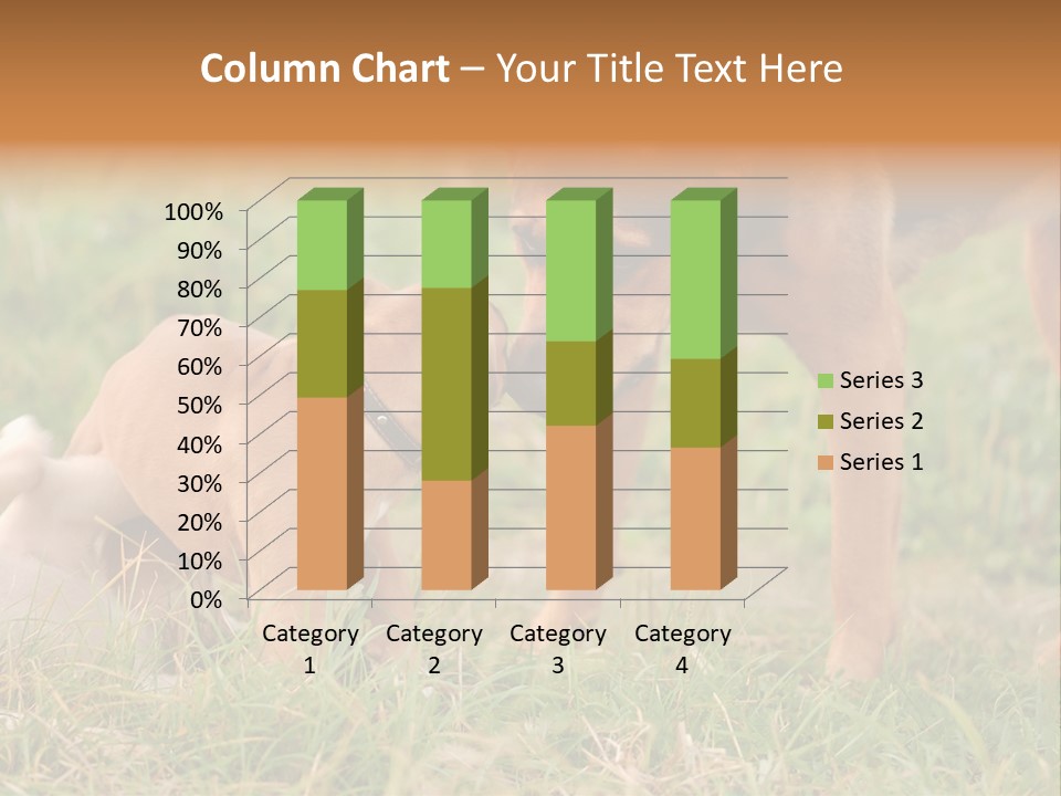 A Couple Of Dogs That Are Standing In The Grass PowerPoint Template