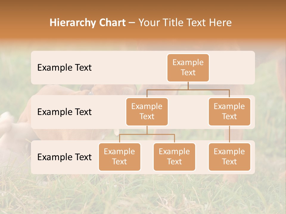 A Couple Of Dogs That Are Standing In The Grass PowerPoint Template