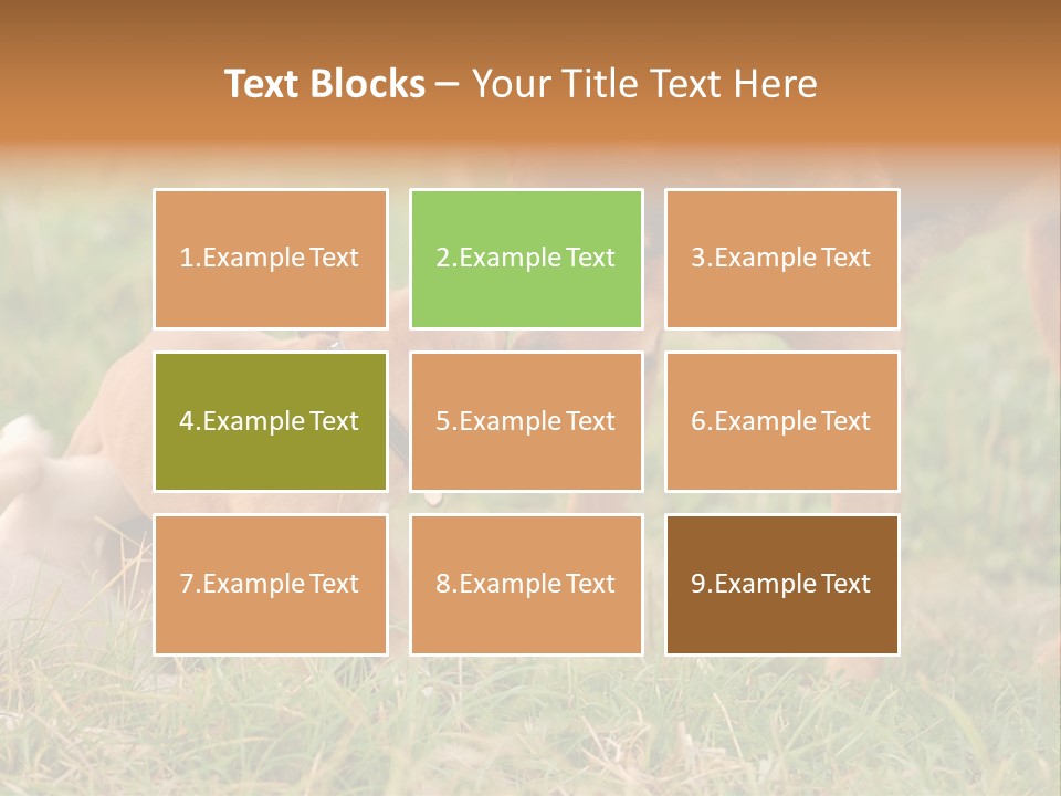 A Couple Of Dogs That Are Standing In The Grass PowerPoint Template