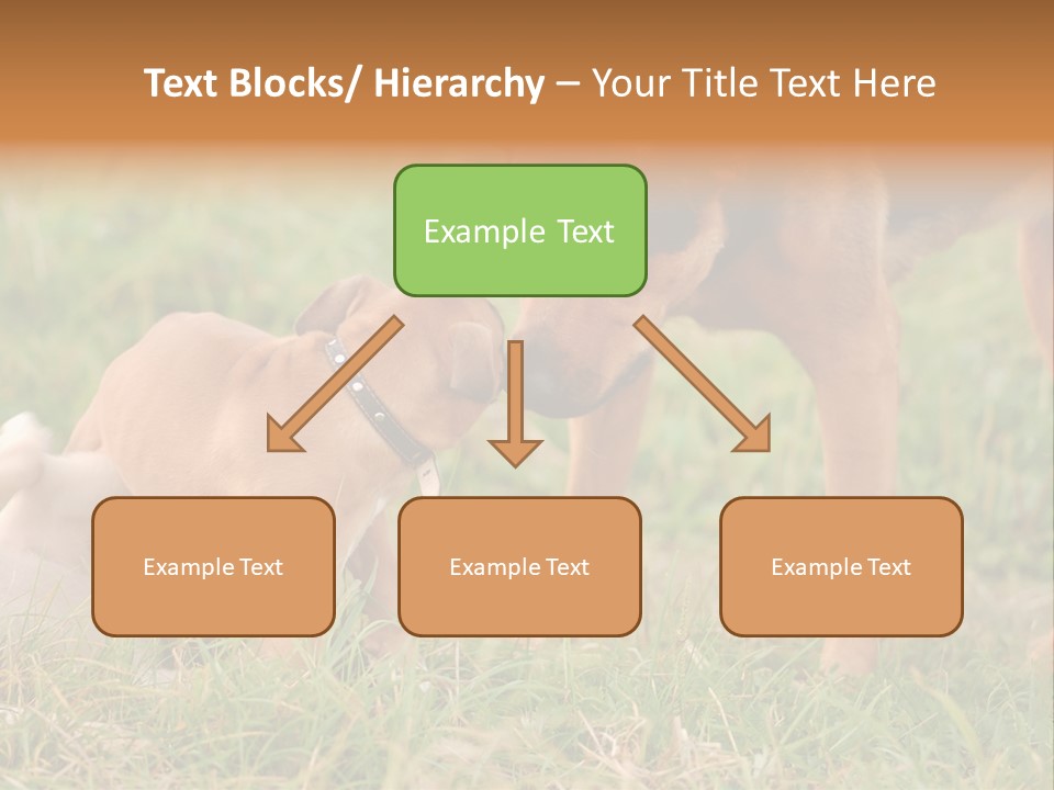 A Couple Of Dogs That Are Standing In The Grass PowerPoint Template