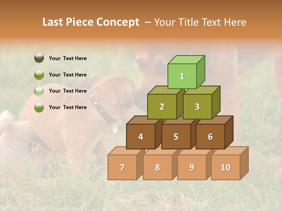 A Couple Of Dogs That Are Standing In The Grass PowerPoint Template