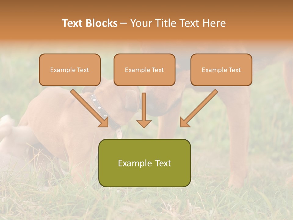 A Couple Of Dogs That Are Standing In The Grass PowerPoint Template