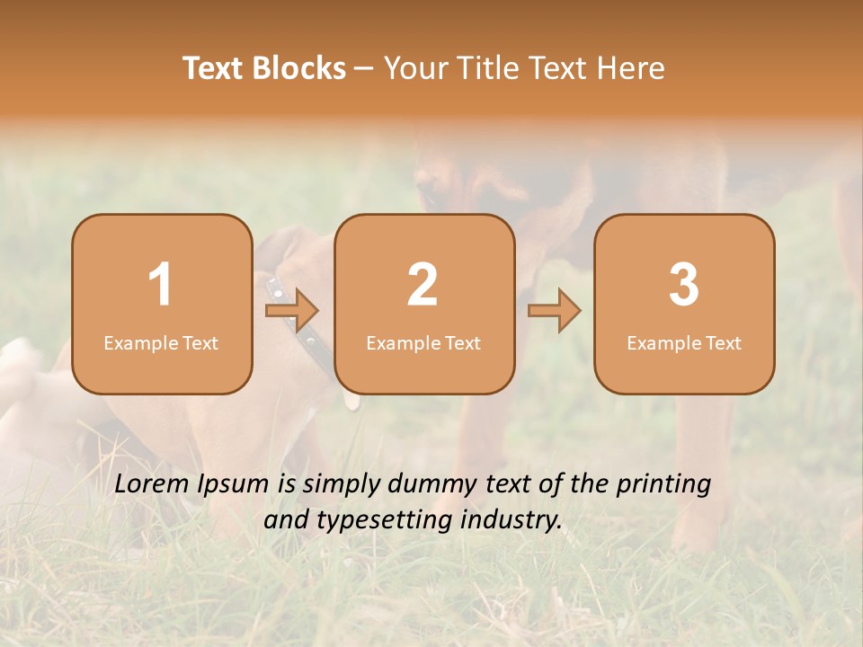 A Couple Of Dogs That Are Standing In The Grass PowerPoint Template
