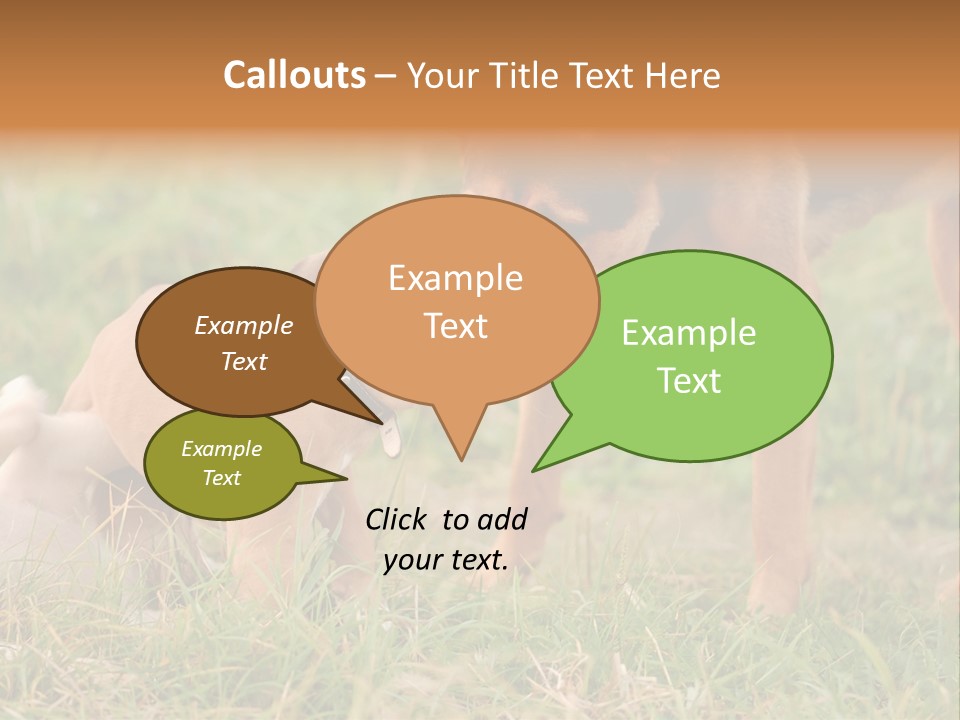 A Couple Of Dogs That Are Standing In The Grass PowerPoint Template