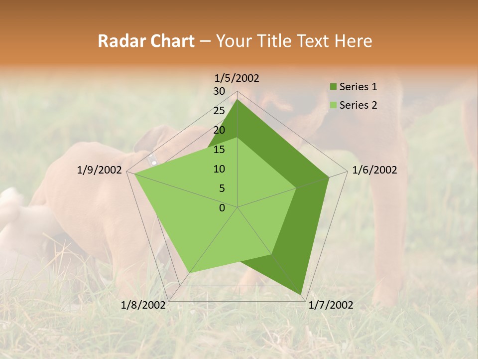 A Couple Of Dogs That Are Standing In The Grass PowerPoint Template
