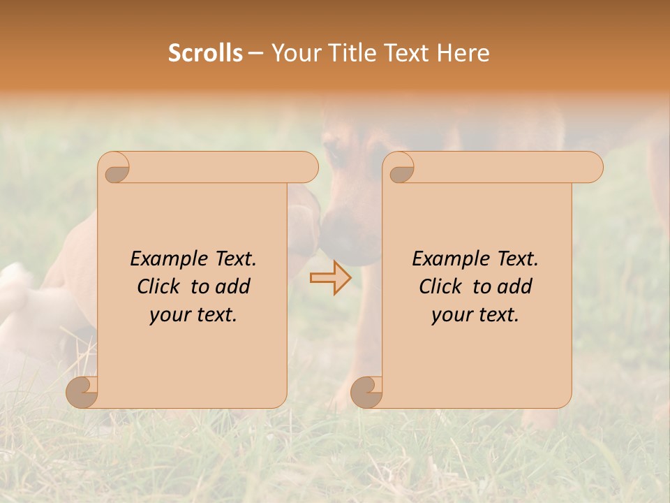 A Couple Of Dogs That Are Standing In The Grass PowerPoint Template