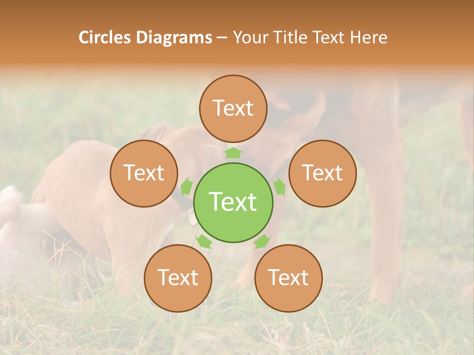 A Couple Of Dogs That Are Standing In The Grass PowerPoint Template