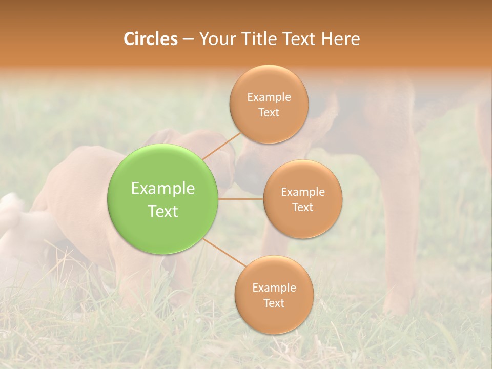 A Couple Of Dogs That Are Standing In The Grass PowerPoint Template