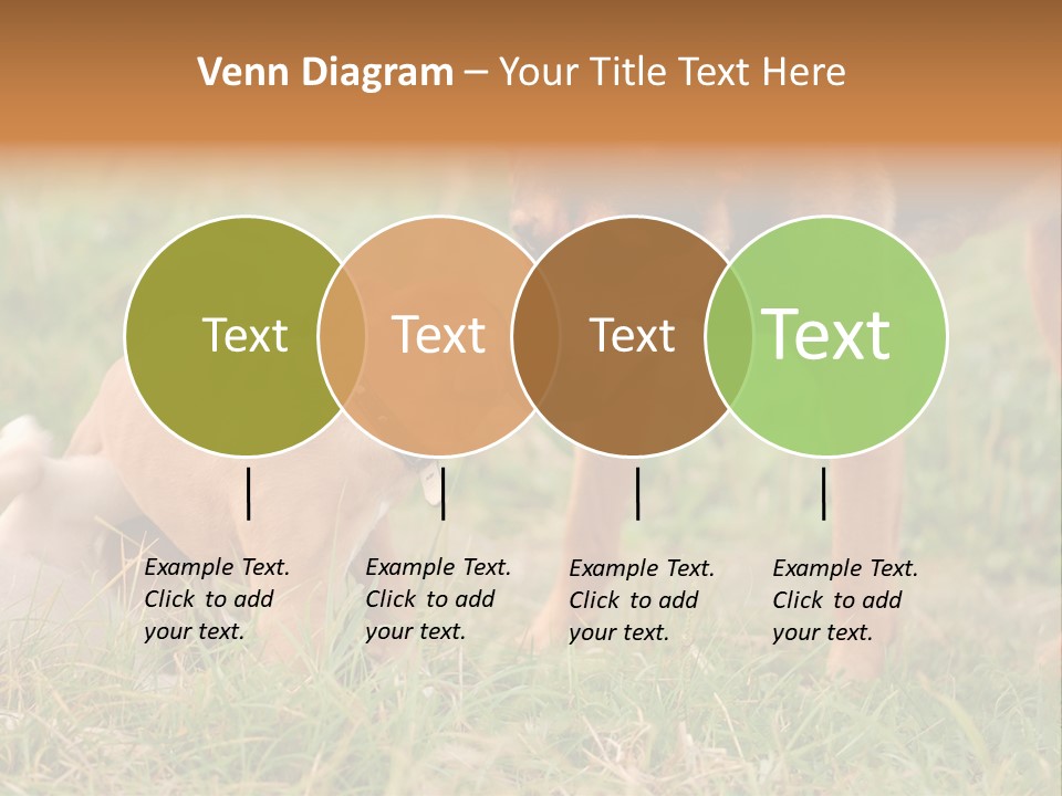 A Couple Of Dogs That Are Standing In The Grass PowerPoint Template