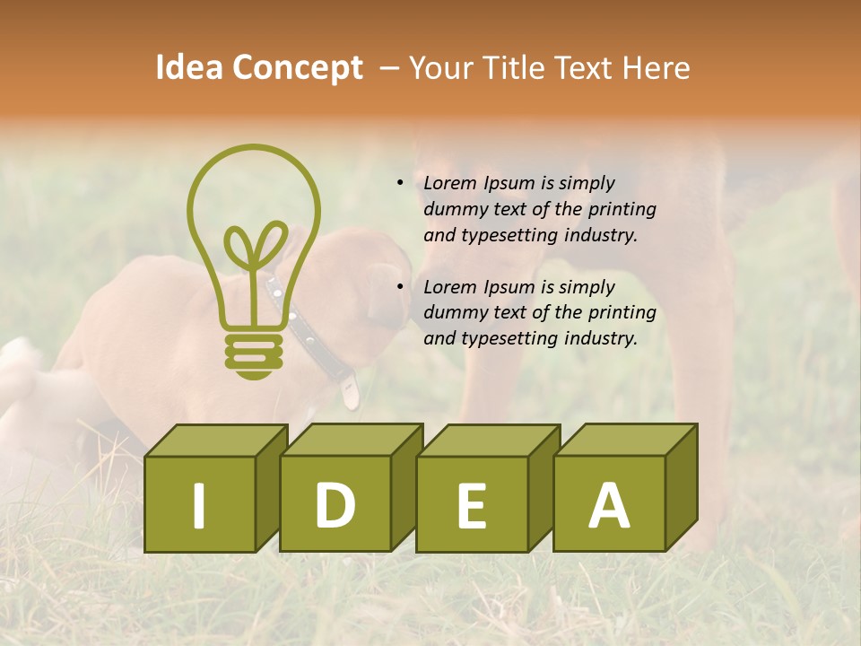 A Couple Of Dogs That Are Standing In The Grass PowerPoint Template