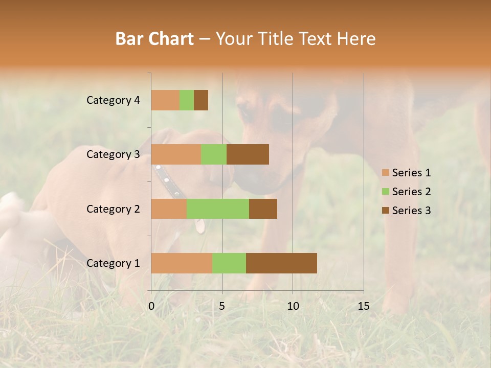 A Couple Of Dogs That Are Standing In The Grass PowerPoint Template