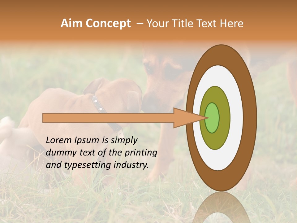 A Couple Of Dogs That Are Standing In The Grass PowerPoint Template