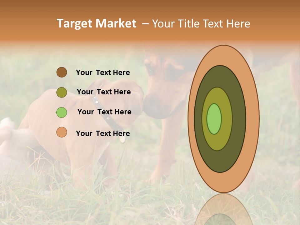 A Couple Of Dogs That Are Standing In The Grass PowerPoint Template