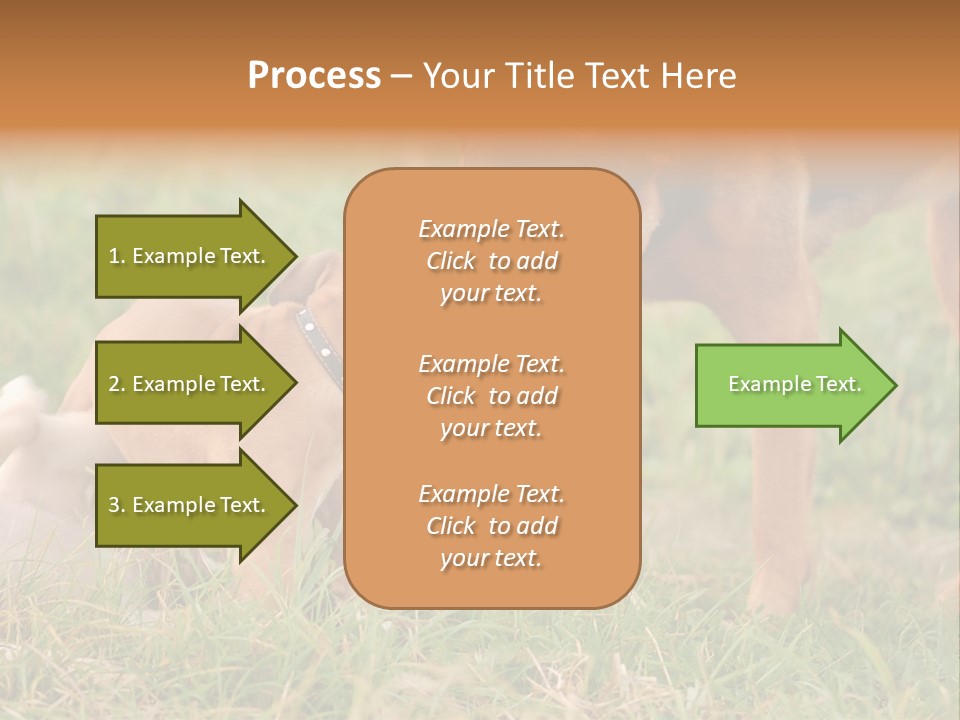 A Couple Of Dogs That Are Standing In The Grass PowerPoint Template