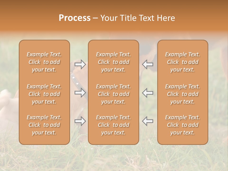 A Couple Of Dogs That Are Standing In The Grass PowerPoint Template