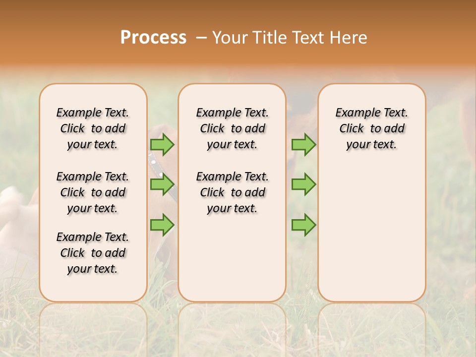 A Couple Of Dogs That Are Standing In The Grass PowerPoint Template