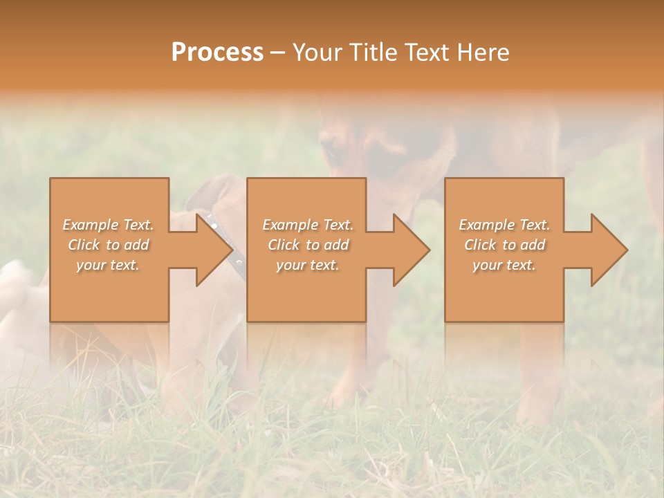 A Couple Of Dogs That Are Standing In The Grass PowerPoint Template