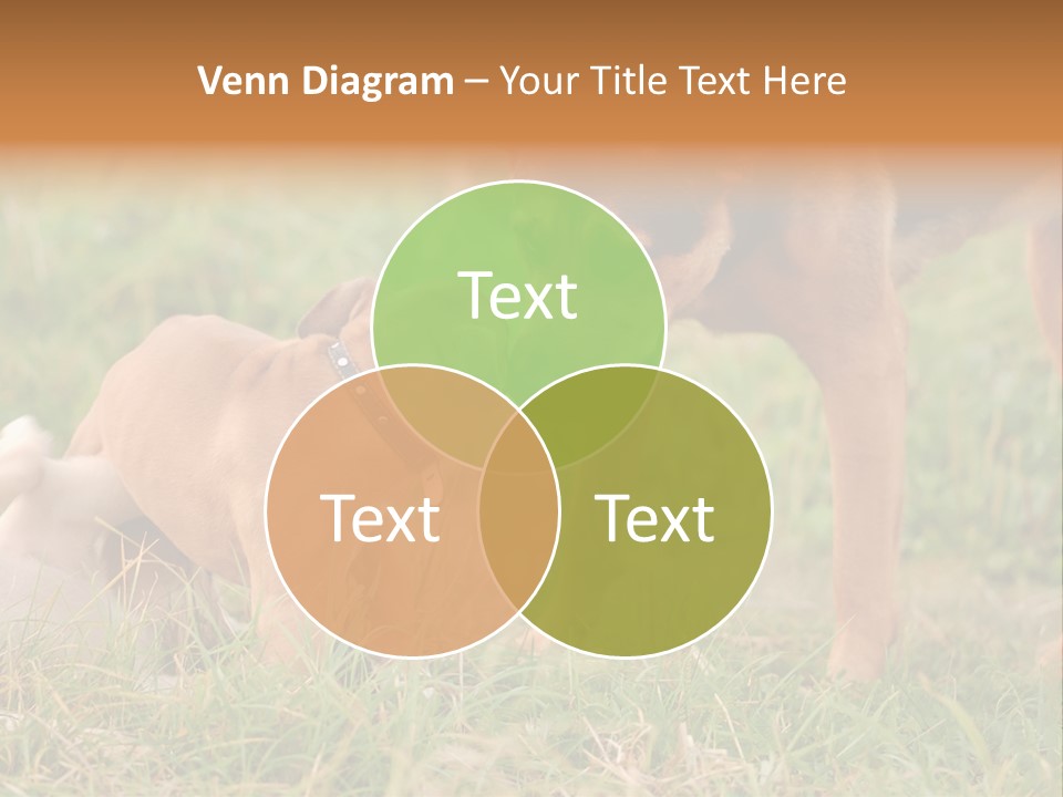 A Couple Of Dogs That Are Standing In The Grass PowerPoint Template