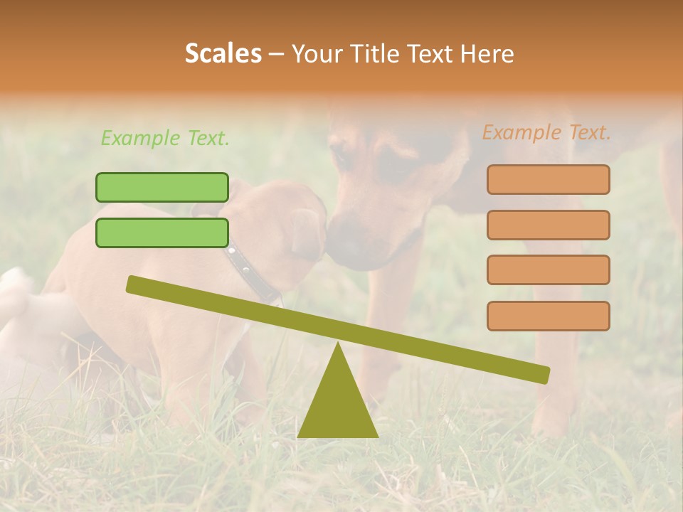 A Couple Of Dogs That Are Standing In The Grass PowerPoint Template
