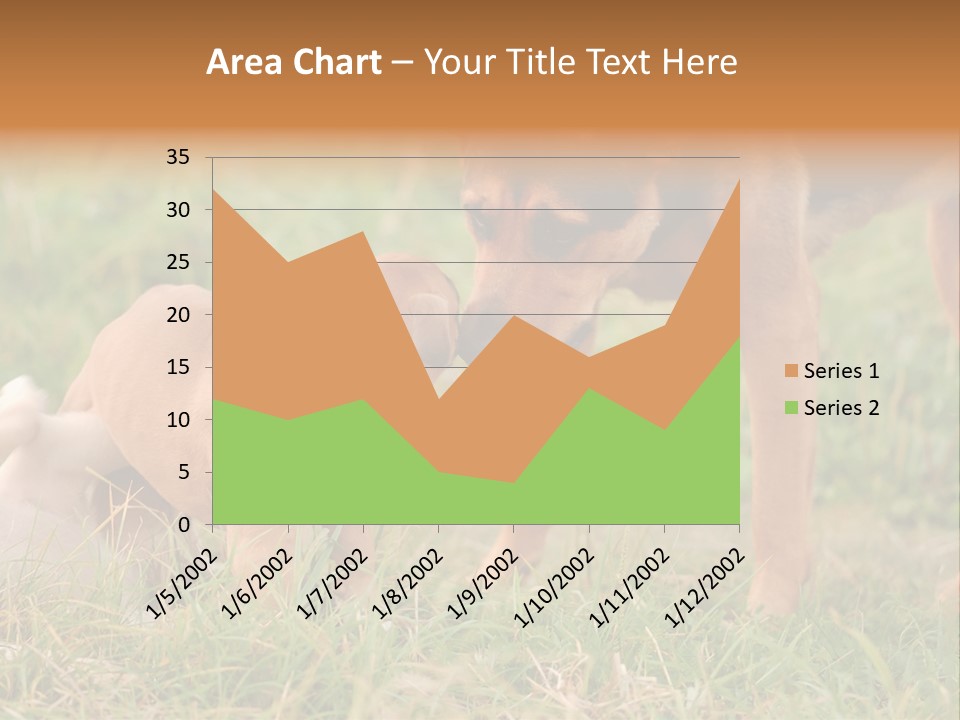 A Couple Of Dogs That Are Standing In The Grass PowerPoint Template