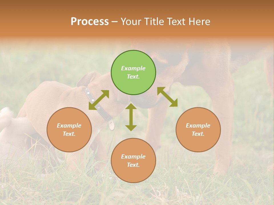 A Couple Of Dogs That Are Standing In The Grass PowerPoint Template