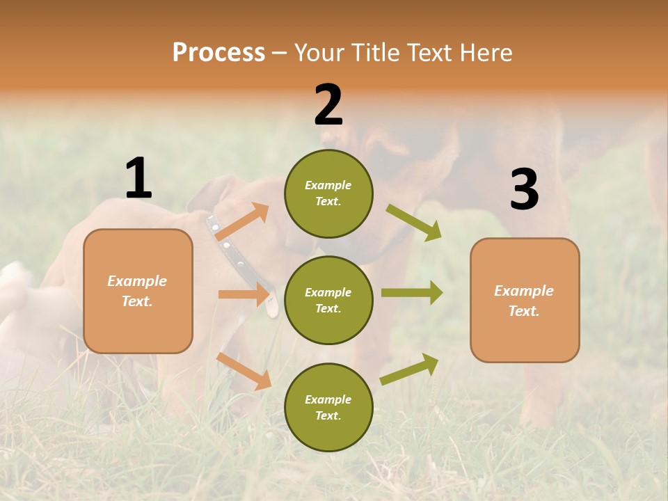 A Couple Of Dogs That Are Standing In The Grass PowerPoint Template
