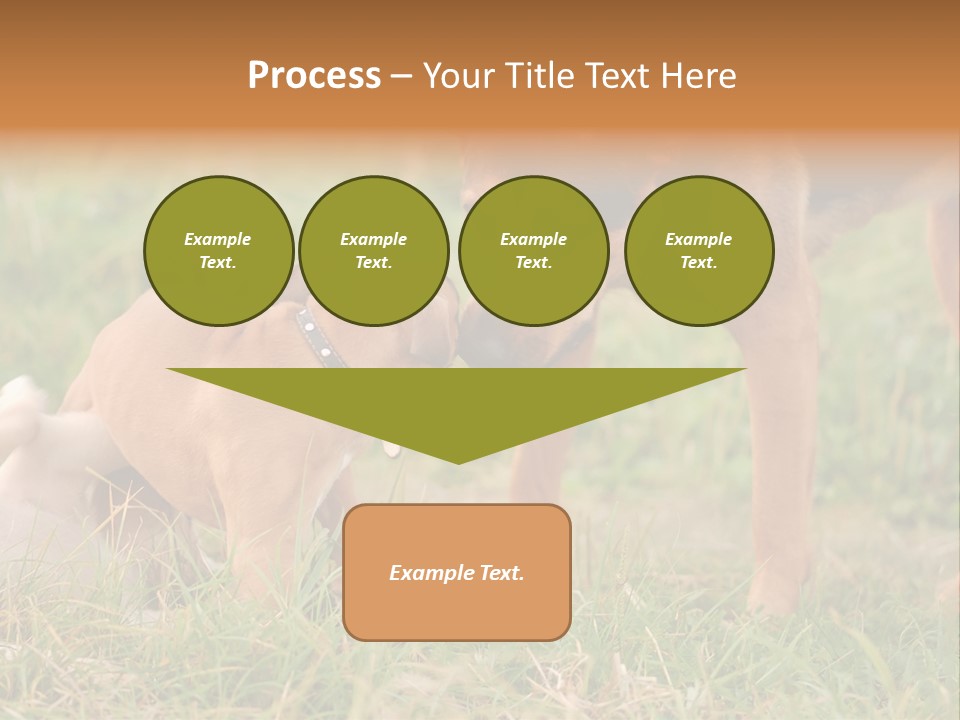 A Couple Of Dogs That Are Standing In The Grass PowerPoint Template