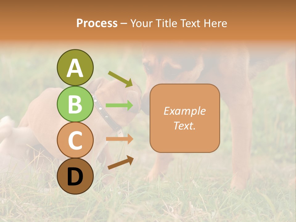 A Couple Of Dogs That Are Standing In The Grass PowerPoint Template