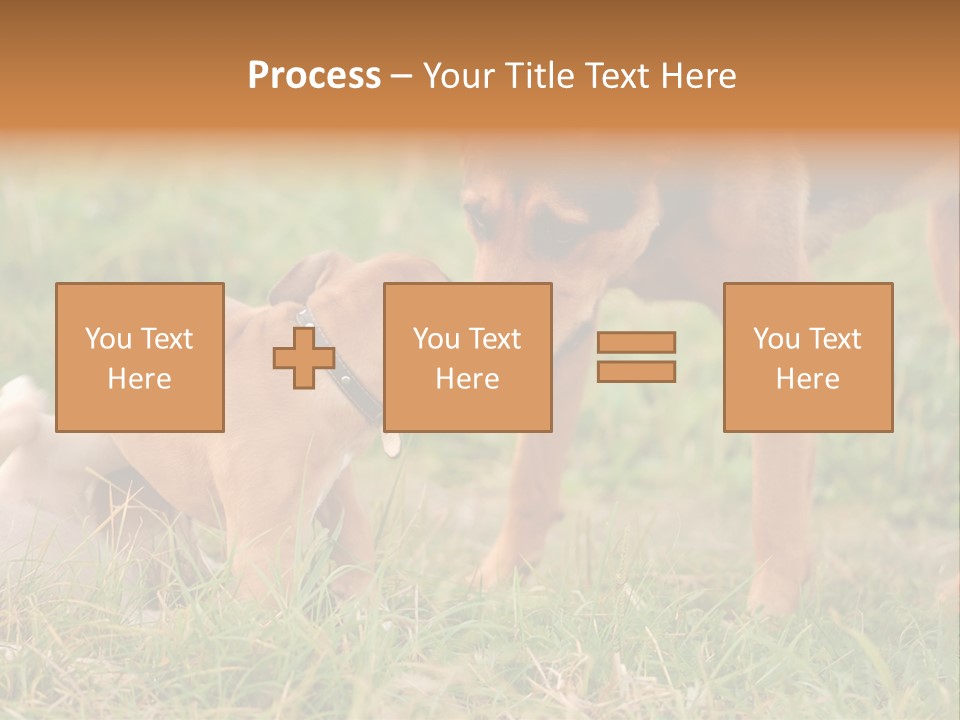 A Couple Of Dogs That Are Standing In The Grass PowerPoint Template