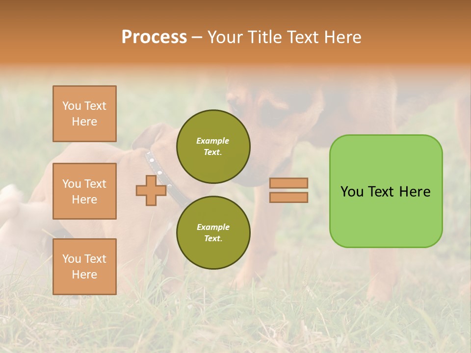 A Couple Of Dogs That Are Standing In The Grass PowerPoint Template